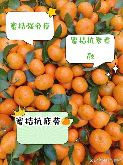 蜜桔app免费下载安卓:免费可以看亏亏的软件