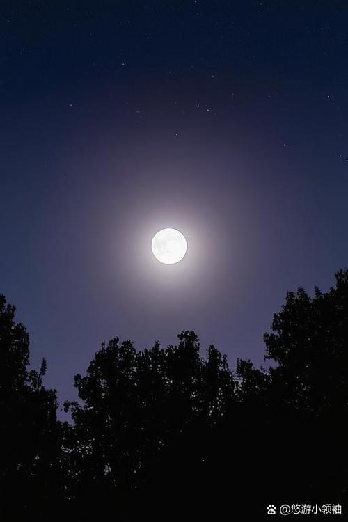 花季传媒美好的夜晚iOS下载