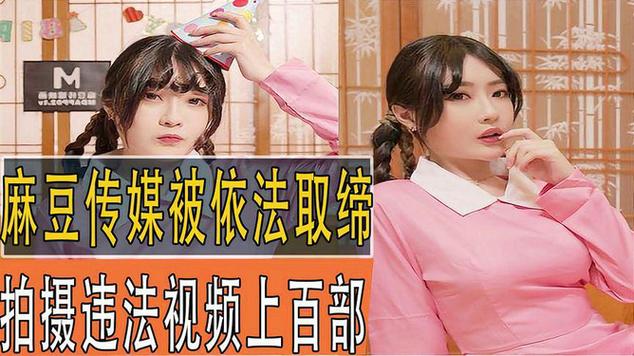 麻豆视传媒短视频林仙踪