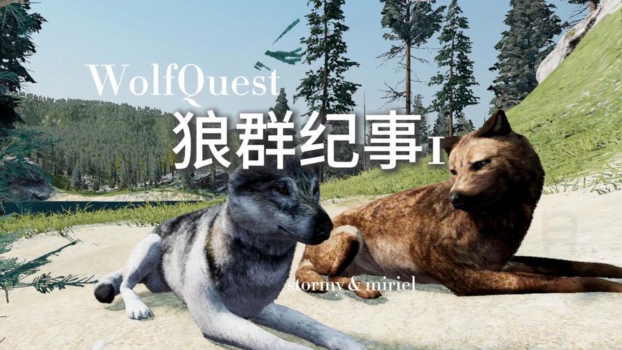 狼群社区视频在线观看