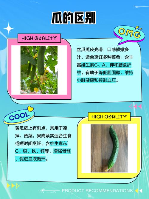 丝瓜黄瓜甜瓜绿巨人免费版