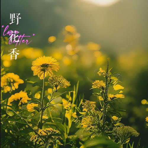 野花香社区在线观看播放免费版