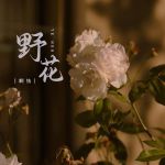 野花视频免费观看高清完整版