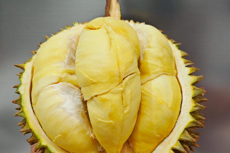 榴莲绿巨人大全