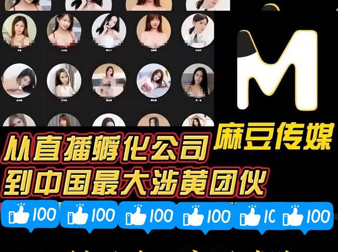 麻豆文化传媒精品1区2区3区自制版