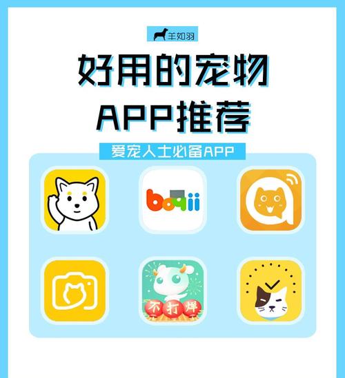 2021小奶猫永久免掉回家