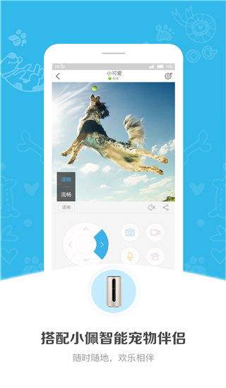 小佩宠物智能管理