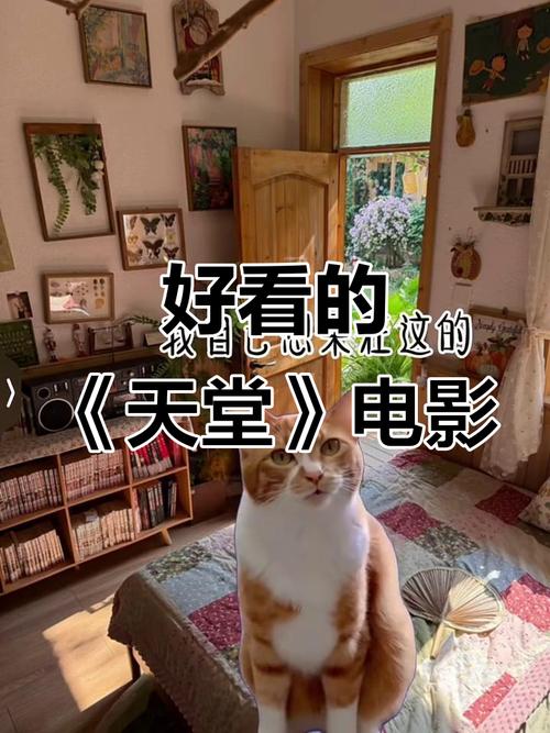 电影天堂最新版