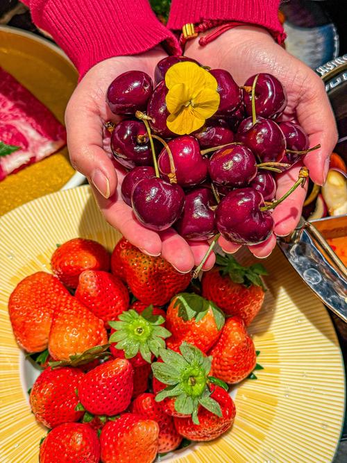 草莓荔枝丝瓜茄子樱桃免费版