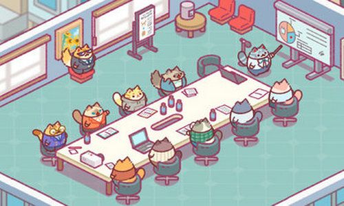 办公室猫咪