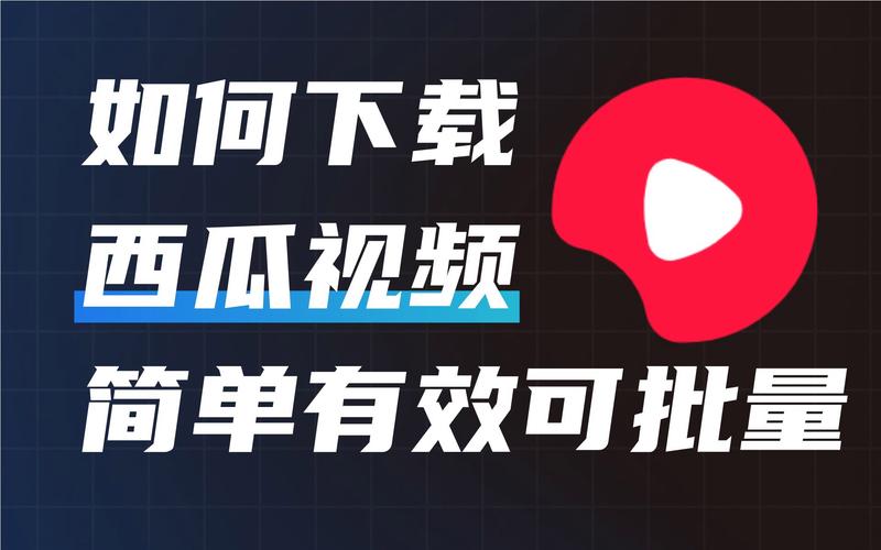 西瓜视频1.3.4安卓版