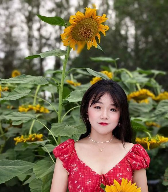 向日葵汅染aqq安卓二维码