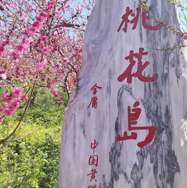 桃花岛成人永久网站入口