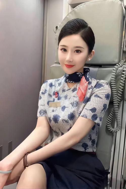 年轻的空姐中文版