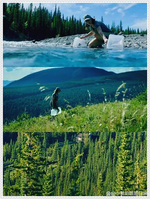 大地高清神马电影网