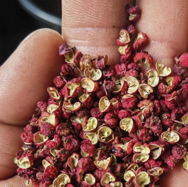 ljr55 花椒视频无限版