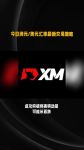 xmxmxm182025最新版