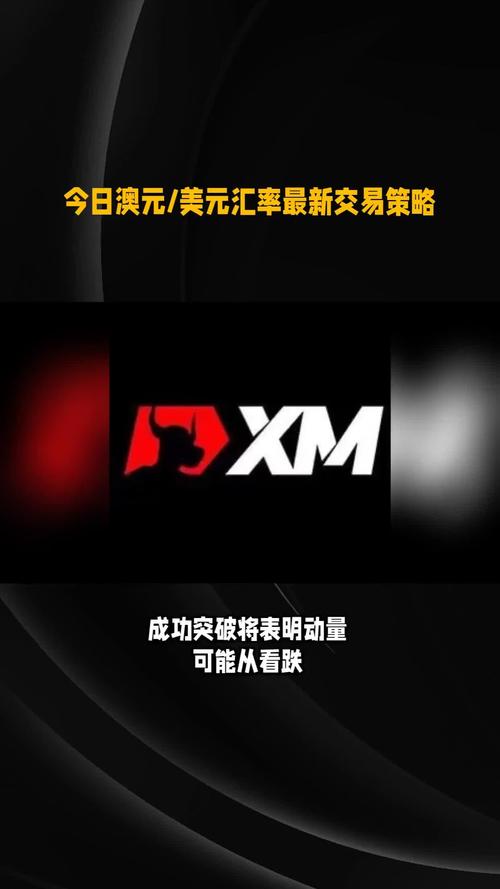 xmxmxm182025最新版