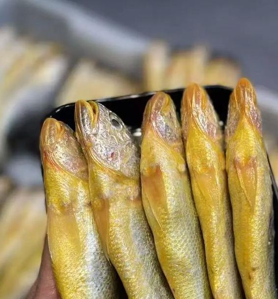 黄鱼视频(力荐年满十八岁)