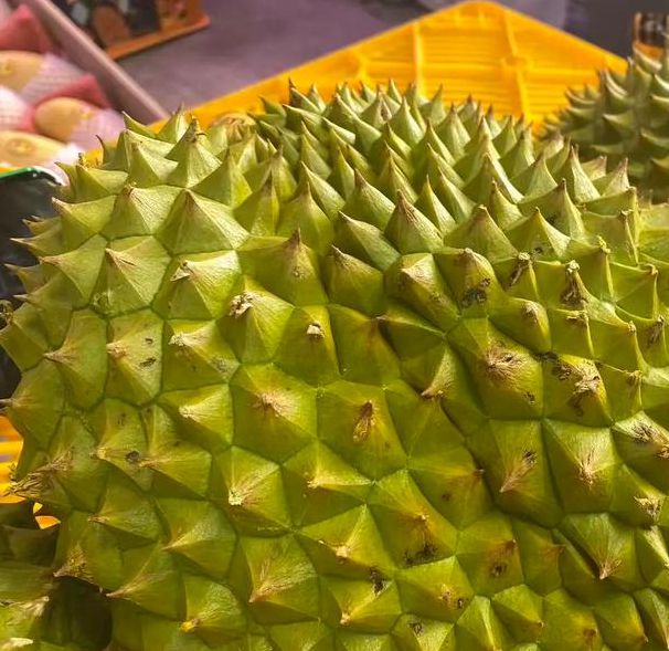 榴莲视频 秋葵 绿巨人站长统计免费下载