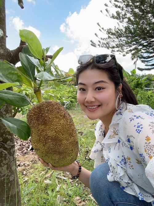 菠萝蜜新区口直播