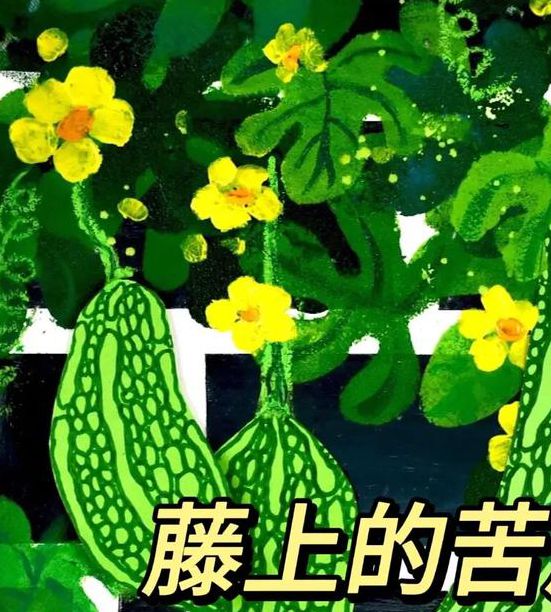 苦瓜短视频