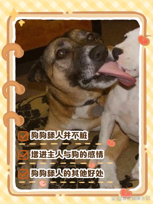 狗人在线观看完整版免费的