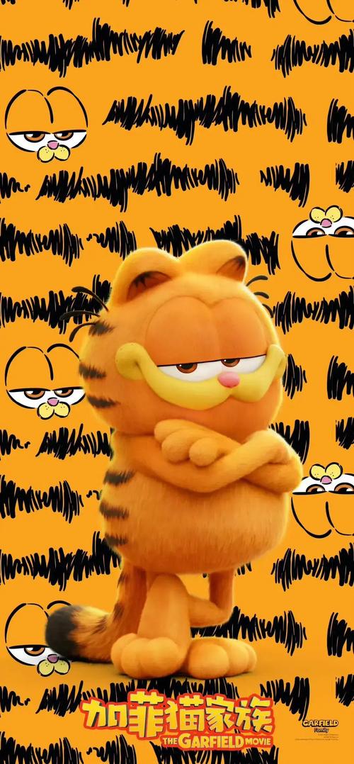 加菲猫影视旧版本