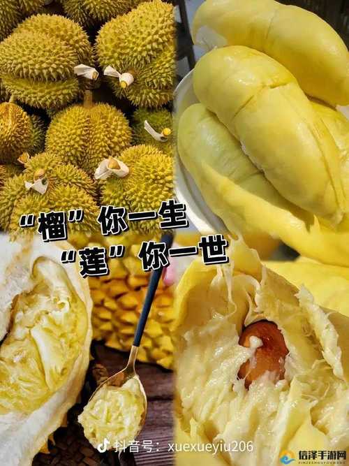 ll999榴莲让你流连忘返安卓版