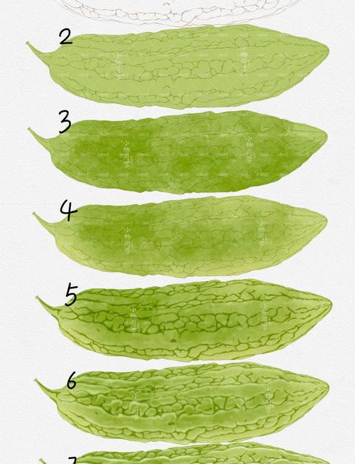 苦瓜色在线观看