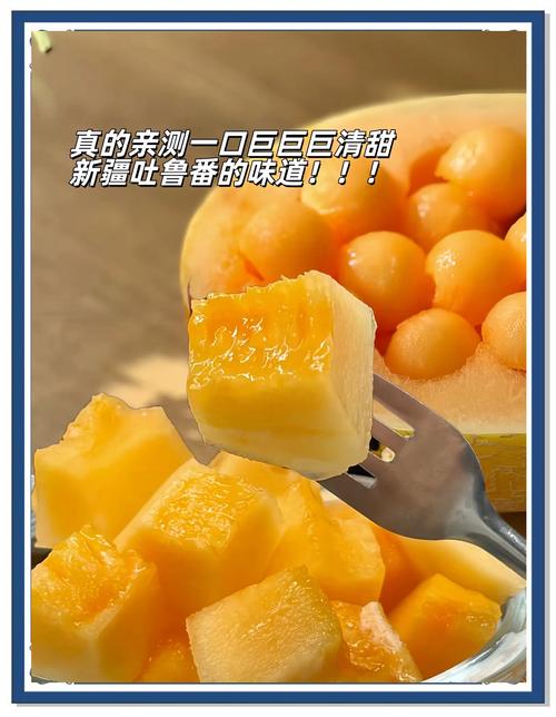 哈密瓜视频安卓版