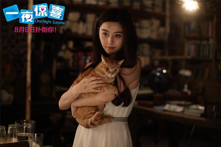 一夜惊喜在线观看完整版