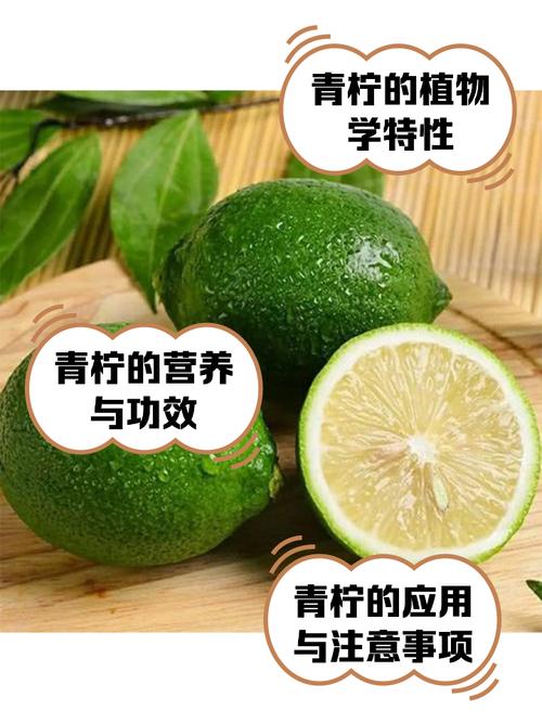 青柠视频高清版