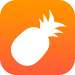 菠萝菠萝蜜视频高清版