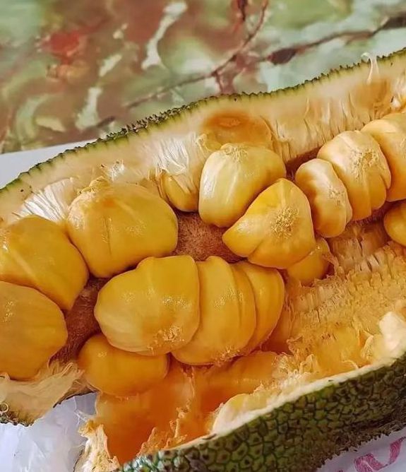 榴莲草莓菠萝蜜视频下载