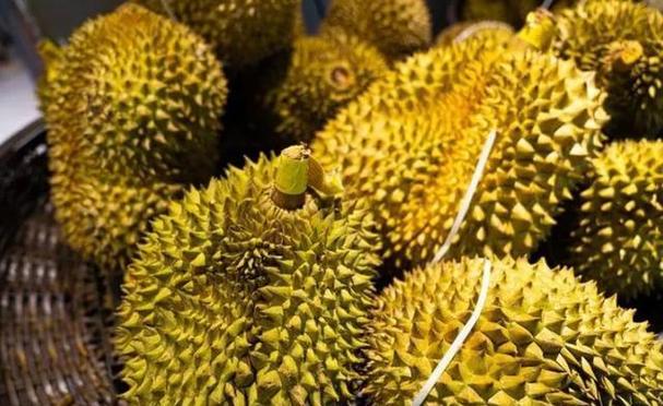 榴莲芭乐站长统计2021年