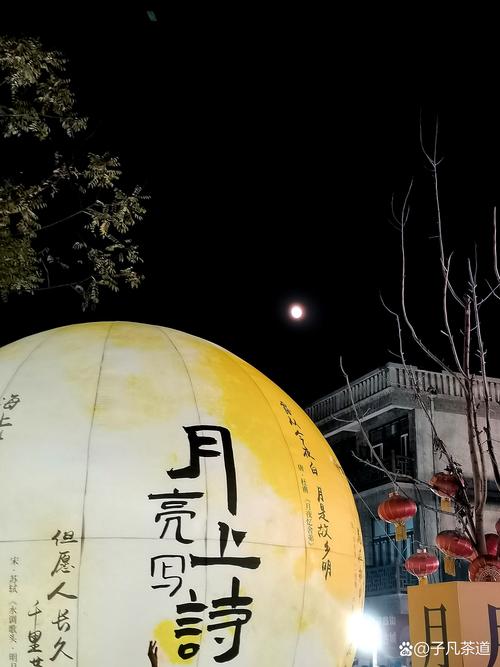 醉月影视免费版