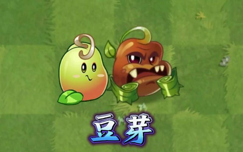 豆芽视频在线直播