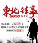 黑道风云二十年 txt