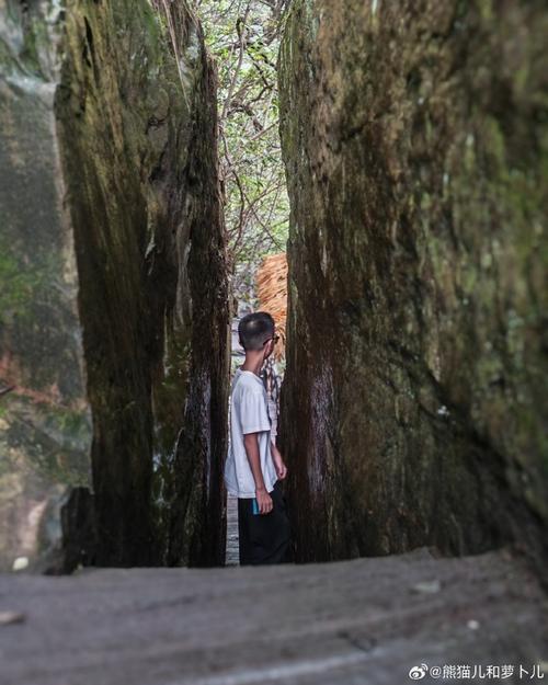 桃缘公园畅聊版