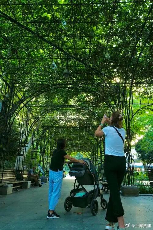 桃缘公园畅聊版