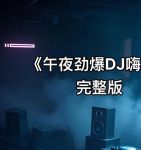 午夜dj视频版