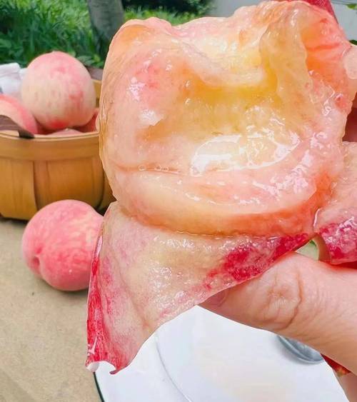 水蜜桃在线高清免费视频