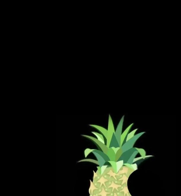 大菠萝1.0免费版