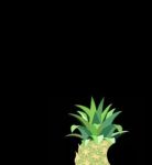 大菠萝1.0免费版