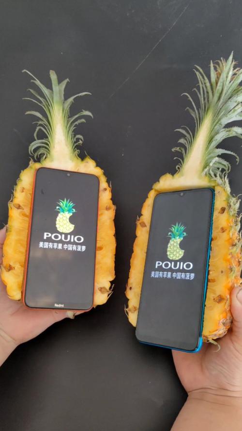 大菠萝1.0免费版