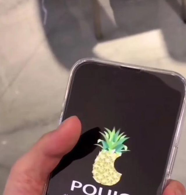 大菠萝1.0免费版