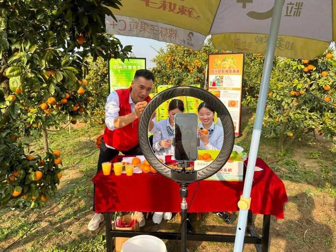 柑橘直播