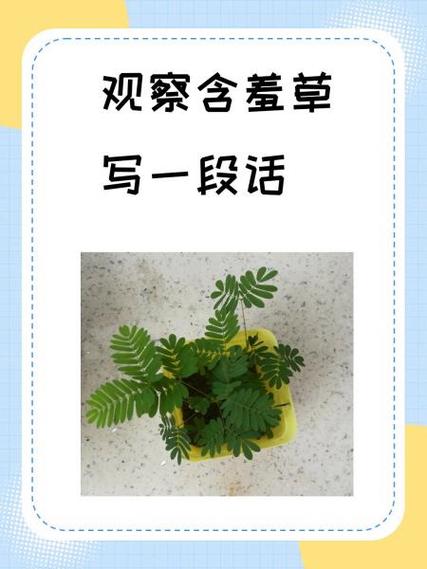 含羞草实验室入口麻豆宣传片在线观看