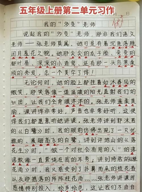 老师变成全体同学的玩#具作文